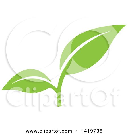 Clipart of Green Leaves - Royalty Free Vector Illustration by cidepix