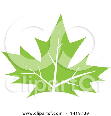 Clipart of a Green Maple Leaf - Royalty Free Vector Illustration by cidepix