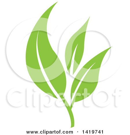 Clipart of Green Leaves - Royalty Free Vector Illustration by cidepix