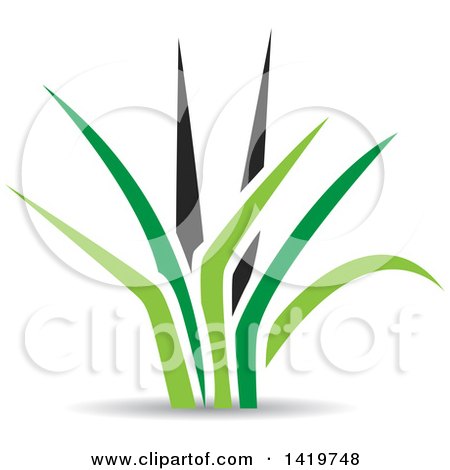 Clipart of Green and Black Grass with a Shadow - Royalty Free Vector Illustration by cidepix