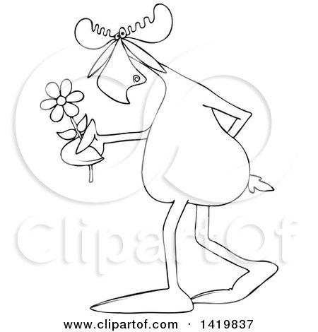 Clipart of a Black and White Lineart Cartoon Moose Walking Upright and Holding a Flower - Royalty Free Vector Illustration by djart