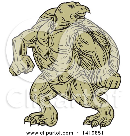 Clipart of a Green Sketched Ridley Turtle in a Martial Arts Stance - Royalty Free Vector Illustration by patrimonio
