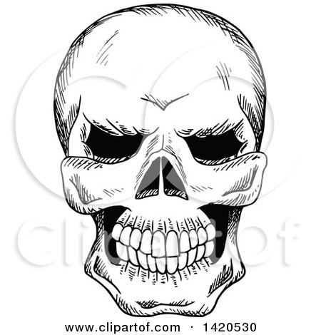 Clipart of a Sketched Black and White Human Skull - Royalty Free Vector Illustration by Vector Tradition SM