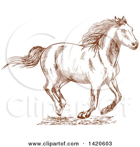 Clipart of a Sketched Brown Horse - Royalty Free Vector Illustration by Vector Tradition SM