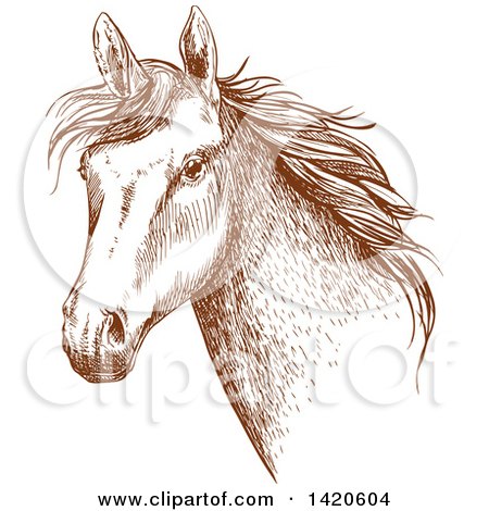 Clipart of a Sketched Brown Horse Head - Royalty Free Vector Illustration by Vector Tradition SM