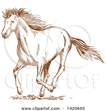 Clipart of a Sketched Brown Horse - Royalty Free Vector Illustration by Vector Tradition SM