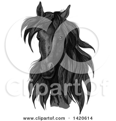 Clipart of a Sketched and Color Filled Black Horse Head - Royalty Free Vector Illustration by Vector Tradition SM