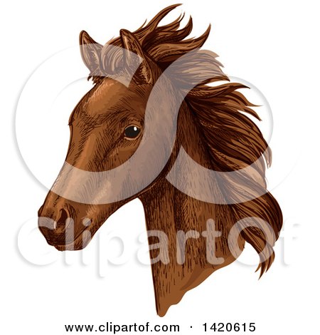 Clipart of a Sketched and Color Filled Brown Horse Head - Royalty Free Vector Illustration by Vector Tradition SM