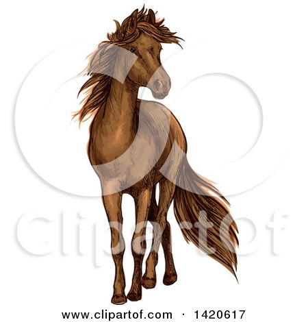 Clipart of a Sketched and Color Filled Brown Horse - Royalty Free Vector Illustration by Vector Tradition SM