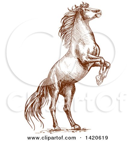 Clipart of a Sketched Brown Horse Rearing - Royalty Free Vector Illustration by Vector Tradition SM