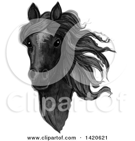 Clipart of a Sketched and Color Filled Black Horse Head - Royalty Free Vector Illustration by Vector Tradition SM