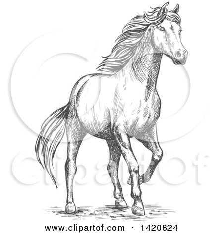 Clipart of a Sketched Gray Horse - Royalty Free Vector Illustration by Vector Tradition SM