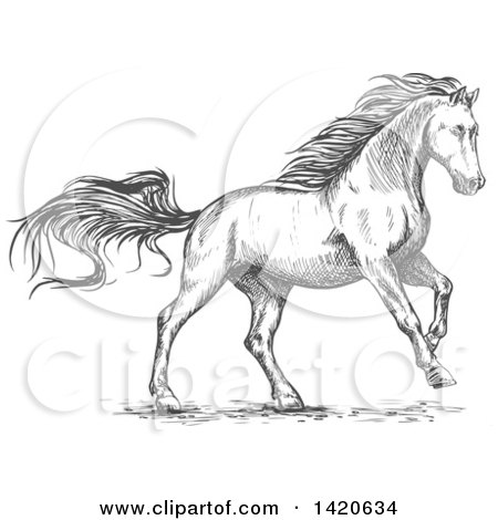 Clipart of a Sketched Gray Horse Running - Royalty Free Vector Illustration by Vector Tradition SM