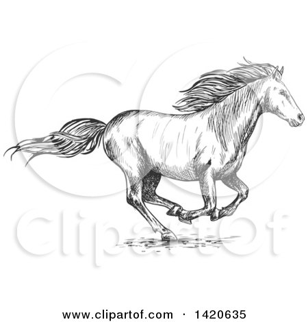 Clipart of a Sketched Gray Horse Running - Royalty Free Vector Illustration by Vector Tradition SM
