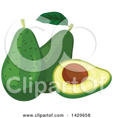 Clipart of Avocados - Royalty Free Vector Illustration by Vector Tradition SM