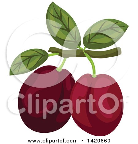 Clipart of Plums on a Branch - Royalty Free Vector Illustration by Vector Tradition SM