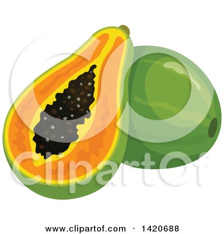 Clipart of Papayas - Royalty Free Vector Illustration by Vector Tradition SM