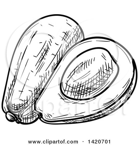 Clipart of a Black and White Sketched Avocado - Royalty Free Vector Illustration by Vector Tradition SM