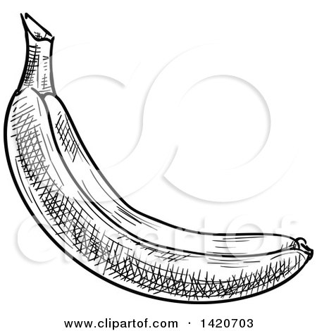 Clipart of a Black and White Sketched Banana - Royalty Free Vector Illustration by Vector Tradition SM