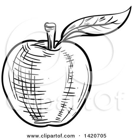 Clipart of a Black and White Sketched Apple - Royalty Free Vector Illustration by Vector Tradition SM