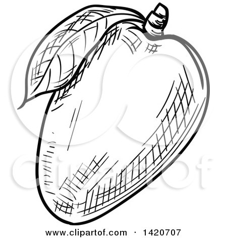 Clipart of a Black and White Sketched Mango - Royalty Free Vector Illustration by Vector Tradition SM