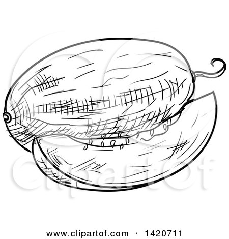 Clipart of a Black and White Sketched Melon - Royalty Free Vector Illustration by Vector Tradition SM