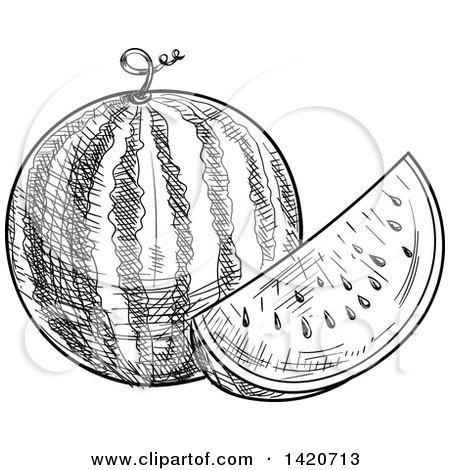 Clipart of a Black and White Sketched Watermelon - Royalty Free Vector Illustration by Vector Tradition SM