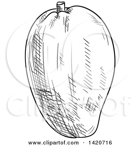Clipart of a Black and White Sketched Mango - Royalty Free Vector Illustration by Vector Tradition SM