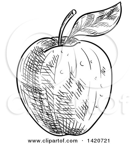 Clipart of a Black and White Sketched Apple - Royalty Free Vector Illustration by Vector Tradition SM