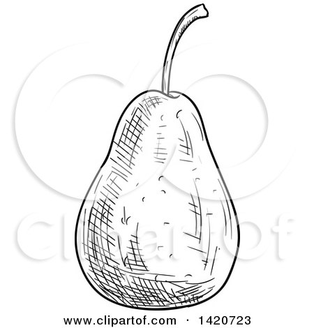 Clipart of a Black and White Sketched Pear - Royalty Free Vector Illustration by Vector Tradition SM