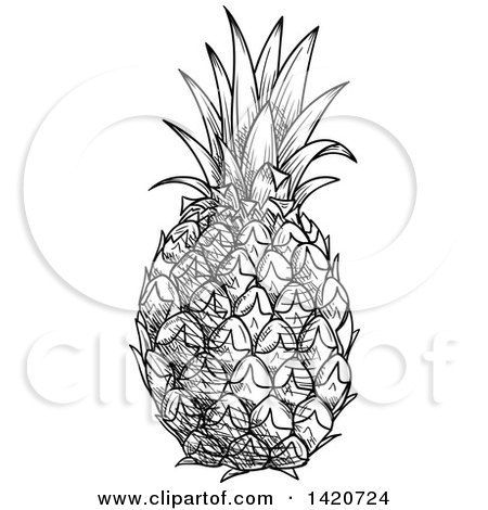 Clipart of a Black and White Sketched Pineapple - Royalty Free Vector Illustration by Vector Tradition SM