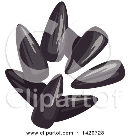 Clipart of Sunflower Seeds - Royalty Free Vector Illustration by Vector Tradition SM