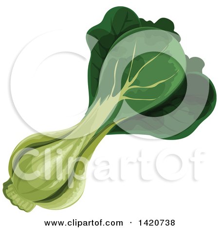 Clipart of a Bunch of Pak Choi - Royalty Free Vector Illustration by Vector Tradition SM