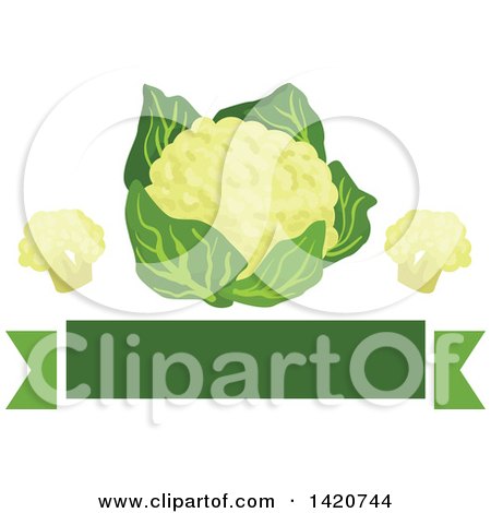 Clipart of a Green Banner with Cauliflower - Royalty Free Vector Illustration by Vector Tradition SM
