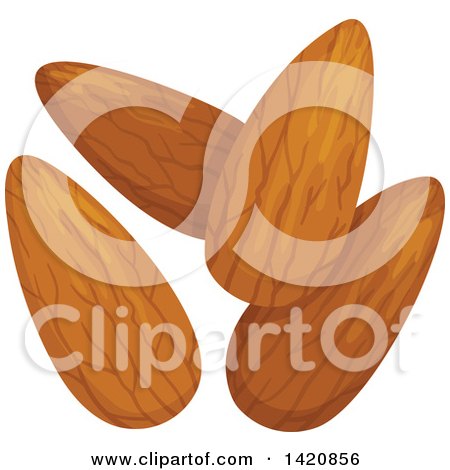 Clipart of Almonds - Royalty Free Vector Illustration by Vector Tradition SM