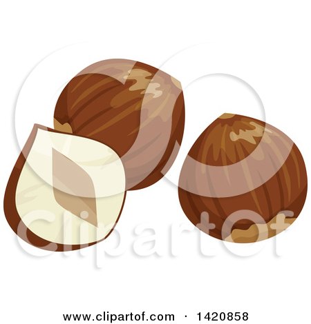 Clipart of Hazelnuts - Royalty Free Vector Illustration by Vector Tradition SM