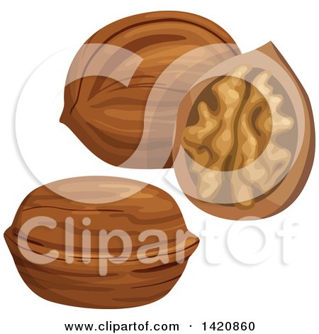 Clipart of Walnuts - Royalty Free Vector Illustration by Vector Tradition SM