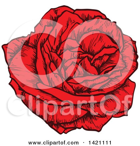 Clipart of a Sketched Red Rose Flower - Royalty Free Vector Illustration by Vector Tradition SM