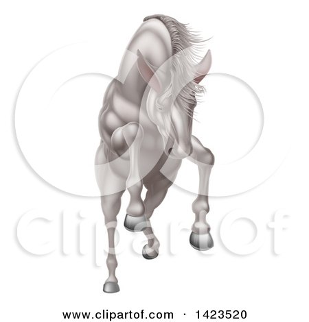 Clipart of a Rearing, Charging or Jumping White Horse - Royalty Free Vector Illustration by AtStockIllustration