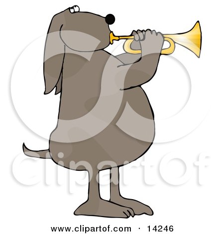 Musical Brown Spotted Dog Standing on His Hind Legs and Blowing While Playing a Golden Trumpet Clipart Picture by djart