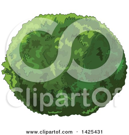 Clipart of a Lush Green Shrub - Royalty Free Vector Illustration by Pushkin