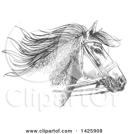 Clipart of a Sketched Gray Horse Head Wearing a Bridle - Royalty Free Vector Illustration by Vector Tradition SM
