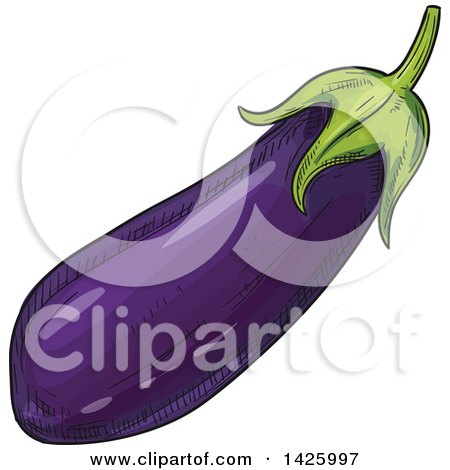 Clipart of a Sketched Purple Eggplant - Royalty Free Vector Illustration by Vector Tradition SM