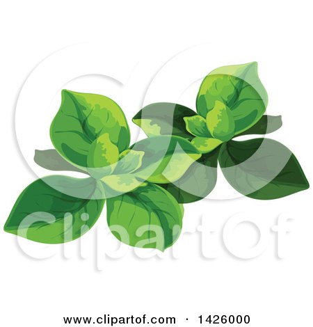 Clipart of Spinach - Royalty Free Vector Illustration by Vector Tradition SM