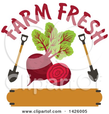 Clipart of a Beet with Shovels with Farm Fresh Text over a Banner - Royalty Free Vector Illustration by Vector Tradition SM
