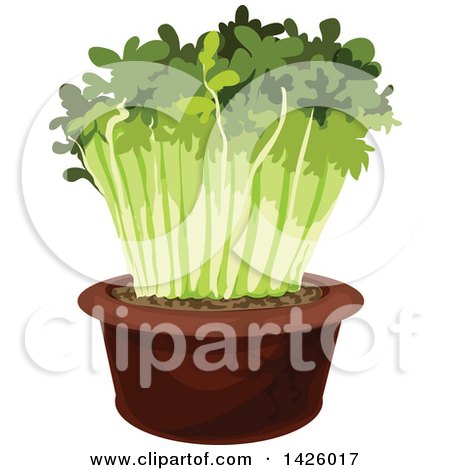 Clipart of a Potted Cress - Royalty Free Vector Illustration by Vector Tradition SM
