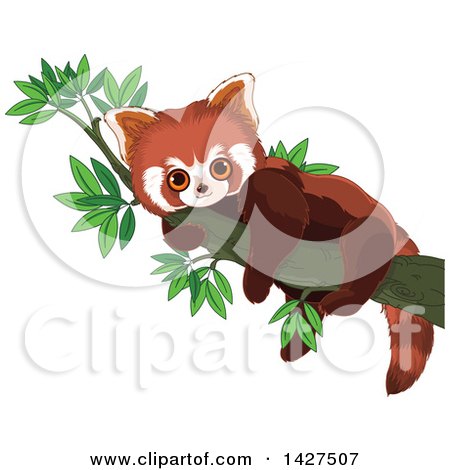 Clipart of a Cute Adorable Baby Red Panda Resting in a Tree - Royalty Free Vector Illustration by Pushkin