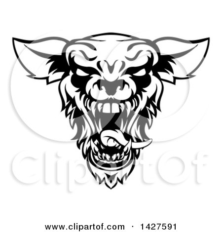 Clipart of a Black and White Roaring Werewolf Head - Royalty Free Vector Illustration by AtStockIllustration