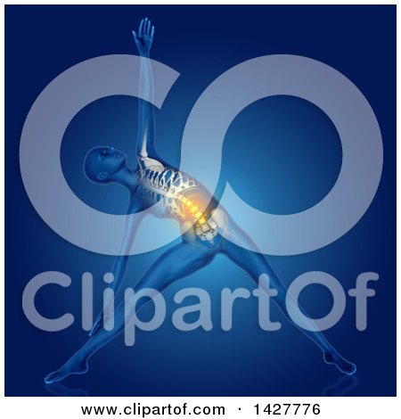 Clipart of a 3d Anatomical Woman Stretching in a Yoga Pose, with Visible Torso Skeleton and a Highlighed Area, on Blue - Royalty Free Illustration by KJ Pargeter