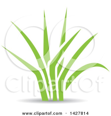 Clipart of Green Grass with a Shadow - Royalty Free Vector Illustration by cidepix